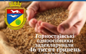 Горностаевские единоличники задекларировали 46 тысяч гривен доходов