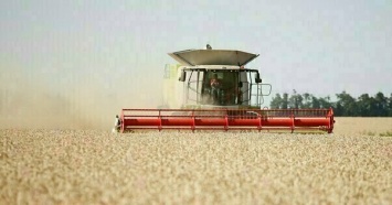 Зерно по форварду: как аграрию занять недостающее на посевную