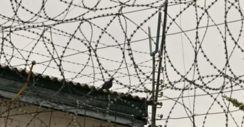 Идут в Киев: из Львовской колонии сбежали опасные заключенные (ФОТО)