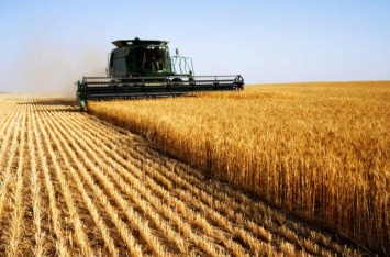 Украина вытеснила Россию с пшеничного трона - Rzeczpospolita