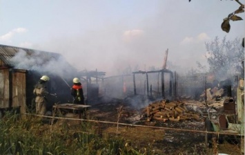 В Киевской области пара жгла траву и сгорела