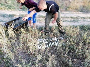 На Николаевщине браконьеры выловили рыбы почти на 12 тысяч гривен