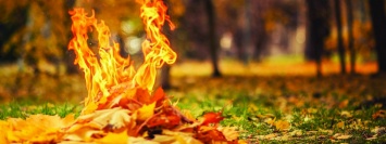 В Днепре начали штрафовать людей, сжигающих листья