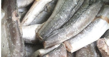 В Украине выросло рыбное производство
