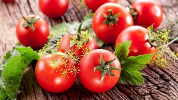 Малосольные помидоры в пакете: рецепт за 2 часа в холодильнике (Фото/Видео)