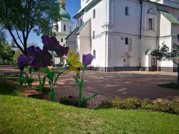 В Софии Киевской состоится фестиваль для всей семьи «Княжа родина»