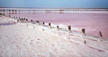 Арабатская стрелка в опасности: легендарное розовое озеро Геническа исчезает (Фото)