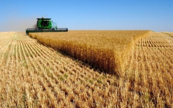 В Запорожской области фермер незаконно использовал огромный участок земли
