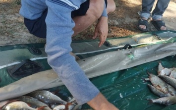 Возле Каховского водохранилища патрульные обнаружили двух браконьеров с крупным уловом