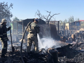 Из-за пожара на Бердянской Косе, обесточены десятки домов