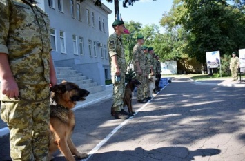 В Объединенных силах определили лучшего пограничника-кинолога: фоторепортаж