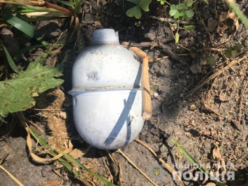 В Киевской области фигурант уголовного производства бросил в правоохранителей две гранаты - полиция
