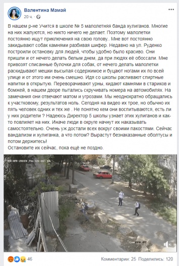В Бердянске ищут малолетних хулиганов, которые закидывали камнями собачий приют