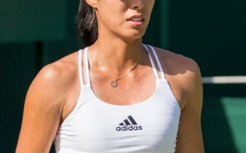 Серена Уильямс - Ван Цян в четвертьфинале US Open