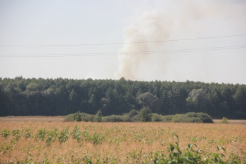 Возле арсенала в Калиновке произошел пожар (обновлено)