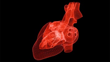 Новый ИИ-алгоритм с высокой точностью определяет риск сердечного приступа