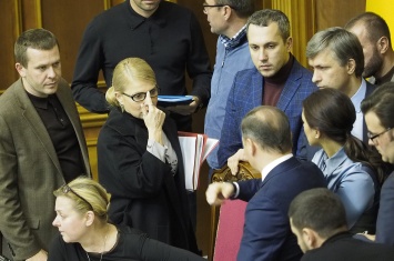 У партий Тимошенко и Ляшко заберут 250 тыс. грн взносов - НАПК