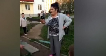 Российские пенсионерки распилили качели на глазах у детей из-за шума