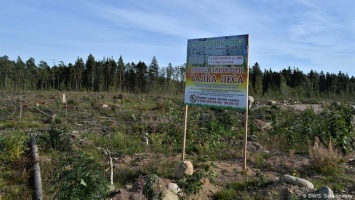 Строительство порта в Ленинградской области: почему жители против