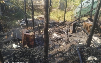 В Белозерском районе в селе горела хозпостройка, хозяин получил ожоги