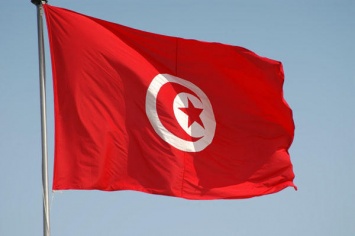 В Тунисе проходит голосование на досрочных президентских выборах
