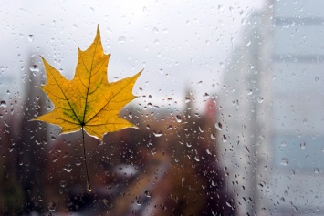 Готовим куртки и зонты: синоптики сообщили об ухудшении погоды