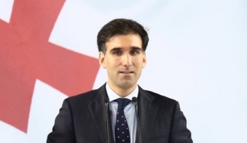 Сын президента Грузии будет работать в администрации Макрона