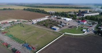Несмотря на засуху, «Укрлендфарминг» рассчитывает на хороший урожай рапса