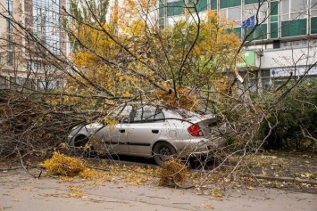 Синоптики объявили о штормовом ветре в Киеве и области
