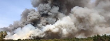 Пожар под Днепром: сотрудники ГСЧС тушили лес