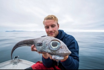 Так вот ты какая, европейская химера: молодой норвежец поймал диковинную рыбу (ФОТО)