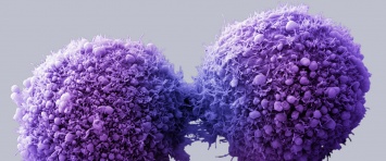 Ученые создали потенциальную альтернативу химиотерапии