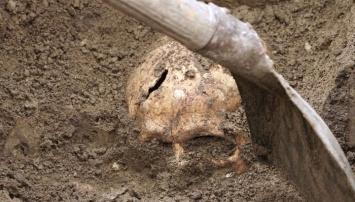 На Николаевщине люди возле дома нашли человеческий череп