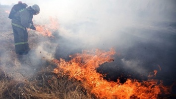 В Запорожской области 150 спасателей тушили пожары на открытой местности