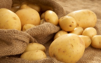 Украину завалили низкокачественной картошкой из Беларуси