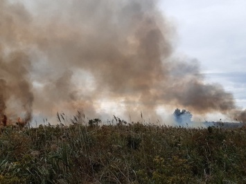 Одесса в дыму из-за крупного пожара: пламя охватило площадь около 2 000 квадратных метров