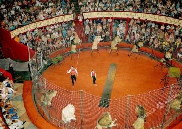 Суд запретил Одесскому цирку использовать животных во время выступлений