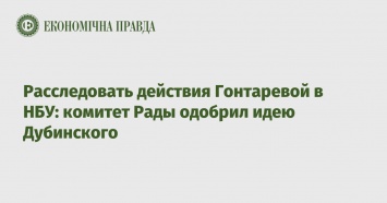 Расследовать действия Гонтаревой в НБУ: комитет Рады одобрил идею Дубинского
