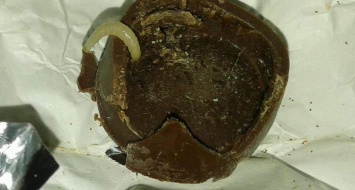 "Смертельно опасно даже для животных": в сети показали конфеты Roshen с червяками