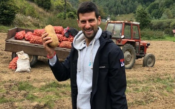 Джокович помог жителям сербского села копать картошку