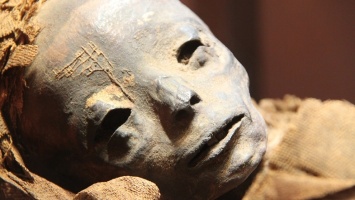 Ученые показали, как выглядела женщина бальзаковского возраста 7,5 тыс. лет назад