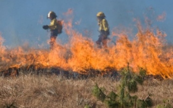 Вчера спасатели Херсонщины 6 раз тушили возгорание сухостоя