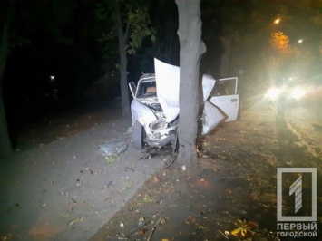 В Кривом Роге пьяный водитель "Москвича" влетел в дерево: пострадали три человека
