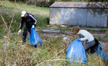 В Днепре волонтеры вместе с представителями горсовета убирали в балке неподалеку Парка Зеленый Гай