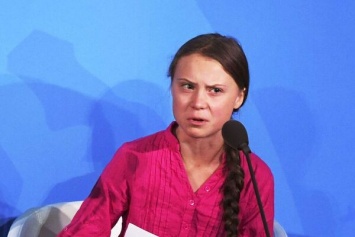 ''Вы украли мое детство!'' Юная экоактивистка из Швеции разгромила мировых лидеров в ООН. Впечатляющее видео