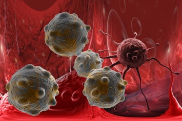 Сделан прорыв в лечении смертельных форм рака - клеточная терапия