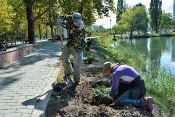 В Гагаринском парке Симферополя высаживают деревья