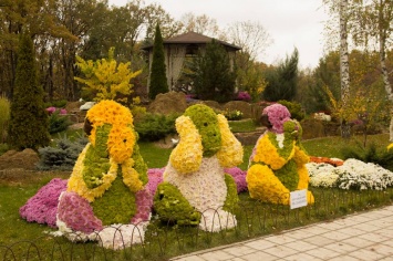 Под Харьковом замахнутся на ароматный рекорд