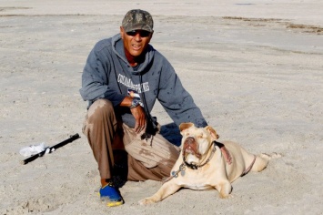 В США слепой пес попытался помочь выброшенному на пляж Нью-Йорка дельфину (фото)