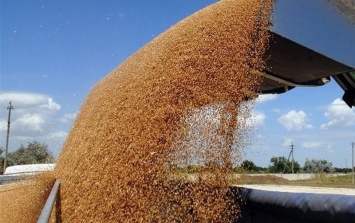 «Укрзализныця» ограничила отправку зерна в Николаевский порт
